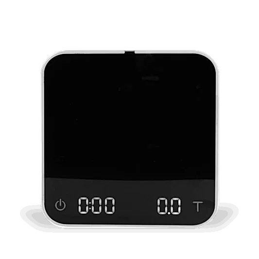 PEARL SCALES - ACAIA
